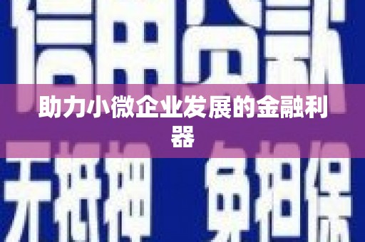 中和助力小微企业发展的金融利器