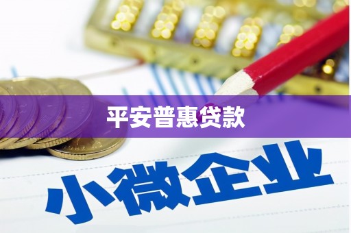 中和平安普惠贷款