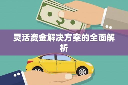 中和灵活资金解决方案的全面解析