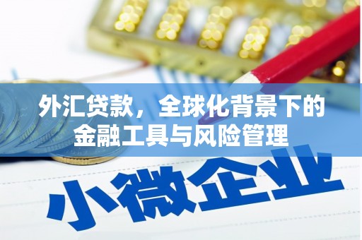 中和外汇贷款，全球化背景下的金融工具与风险管理