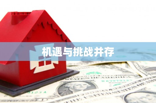 中和机遇与挑战并存
