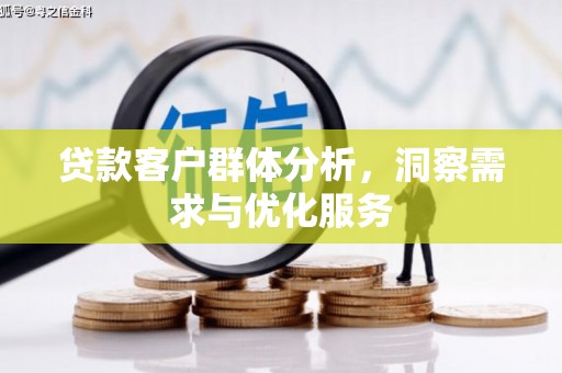 中和贷款客户群体分析，洞察需求与优化服务