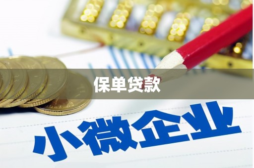 中和保单贷款 中和保单贷款